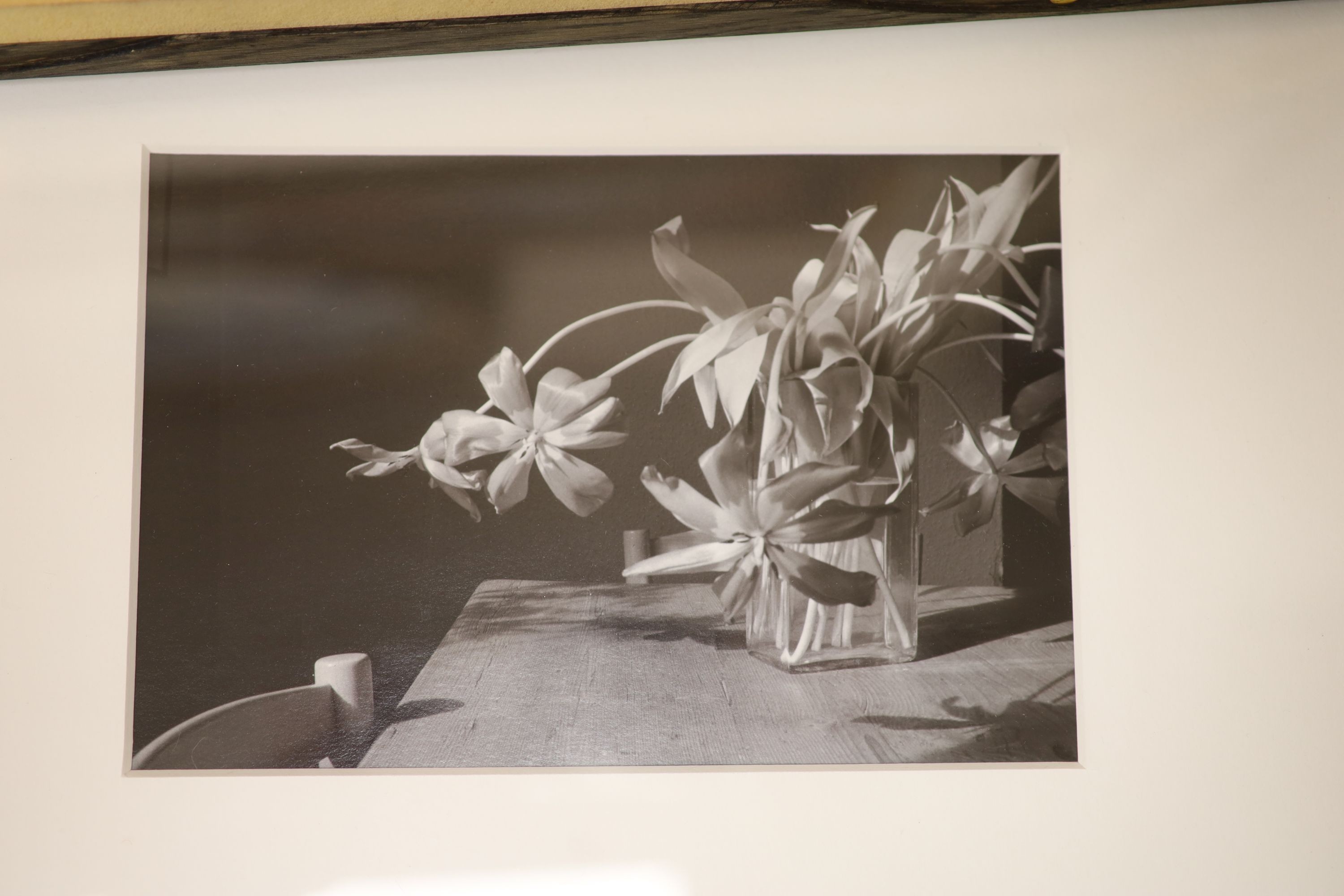 John Blakemore (1936-), eight assorted gelatin silver prints, Tulips 1988 with Zelda Cheatle Gallery label verso, 41 x 33cm; Tulip Series, 41 x 32cm; Tulip Series, two in one frame